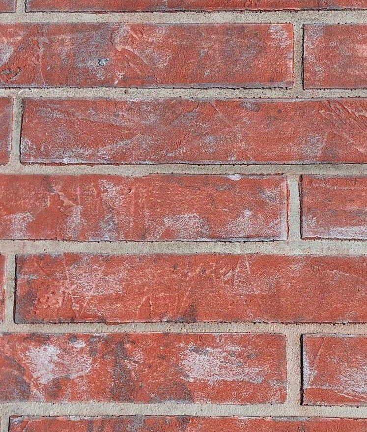 FREE SAMPLE 1212 | Roll Brick Splash red