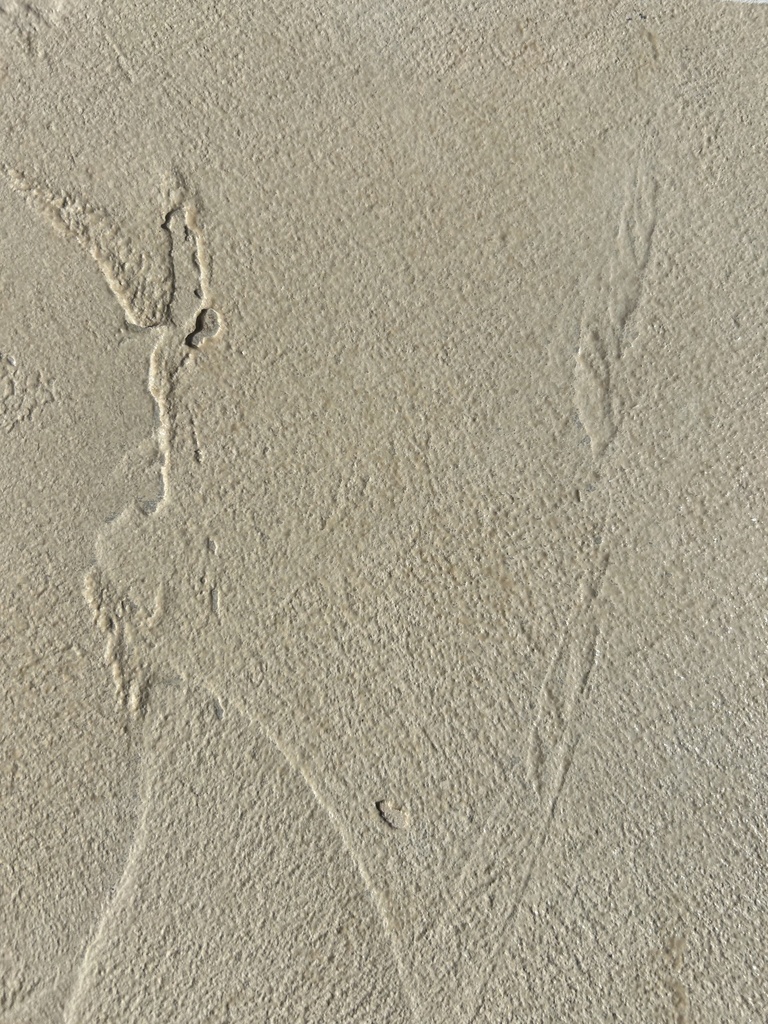 FREE SAMPLE 1412 | Digital White Concrete Trash
