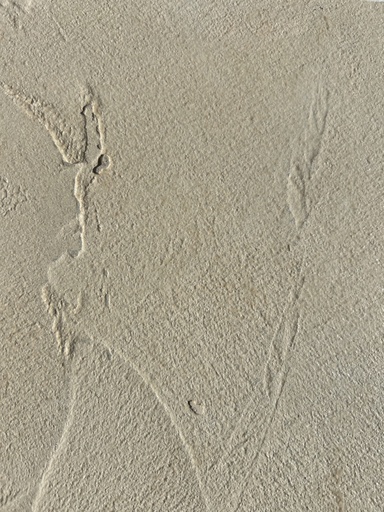 [ROSDGI1412] FREE SAMPLE 1412 | Digital White Concrete Trash